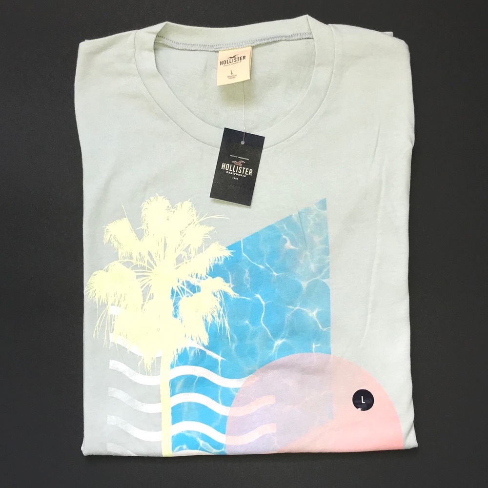 Hollister t-shirt (NWT)
